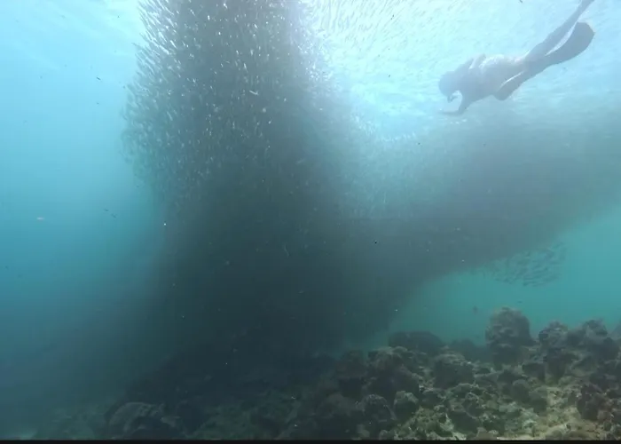 Resort Sardinebay Dive *